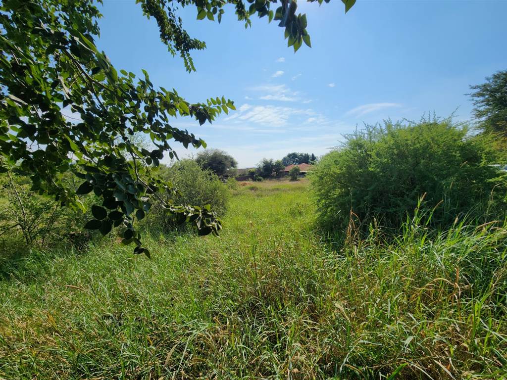 1145 m² Land available in Thabazimbi photo number 6