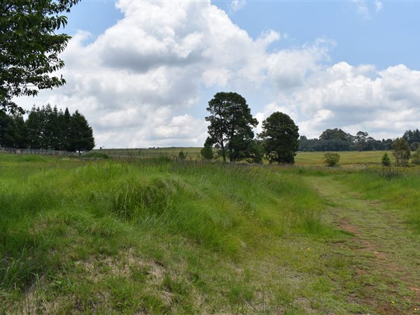 458 m² Land available in Dullstroom