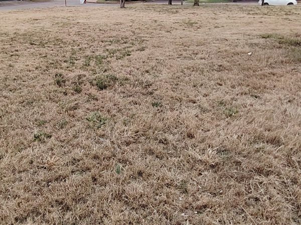 569 m² Land