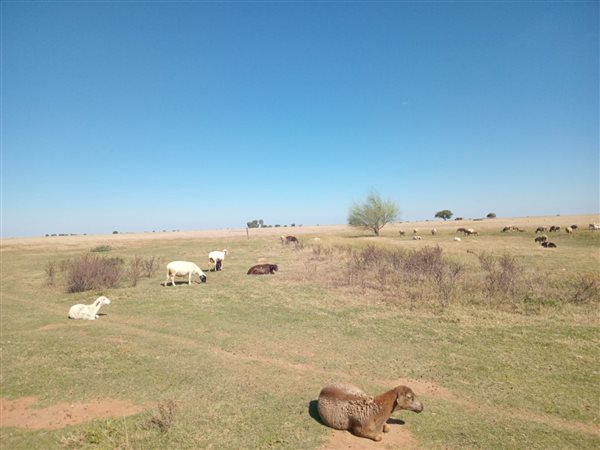59 ha Farm