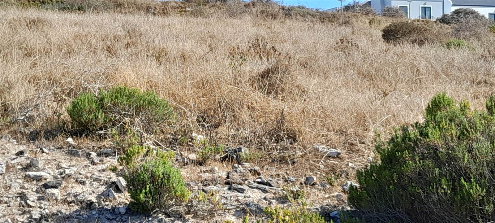 653 m² Land available in Saldanha photo number 3