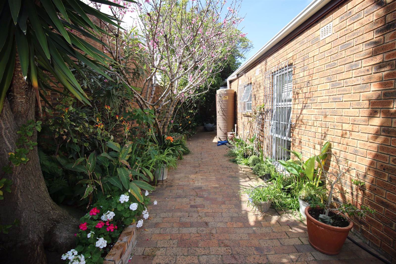 4 Bed House in Plattekloof photo number 28