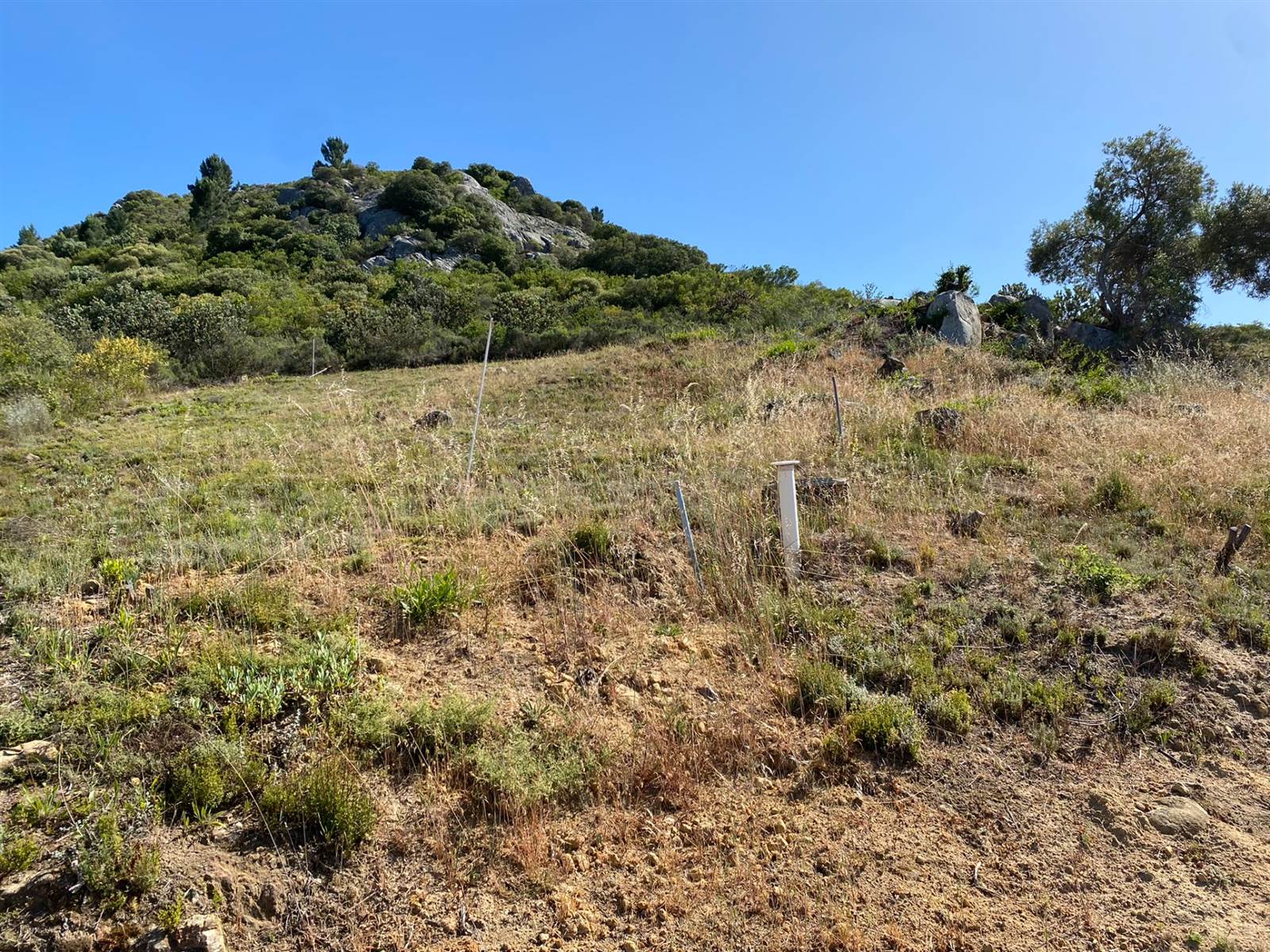 704 m² Land available in Northern Paarl photo number 9