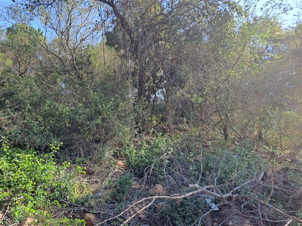 942 m² Land available in Hazyview