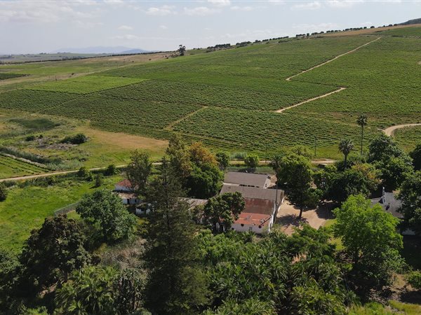 63 ha Farm with House in Stellenbosch Farms