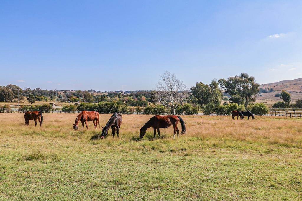 9 ha Smallholding in Hartzenbergfontein photo number 30
