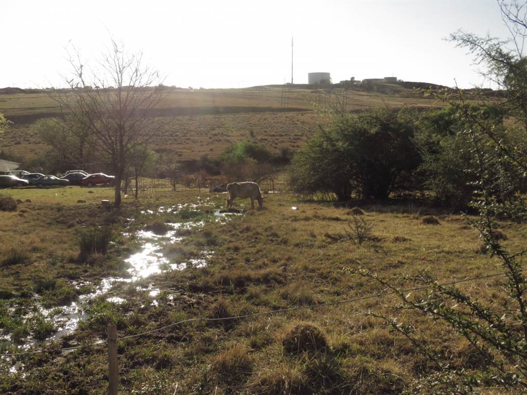 991 m² Land available in Fouriesburg photo number 5