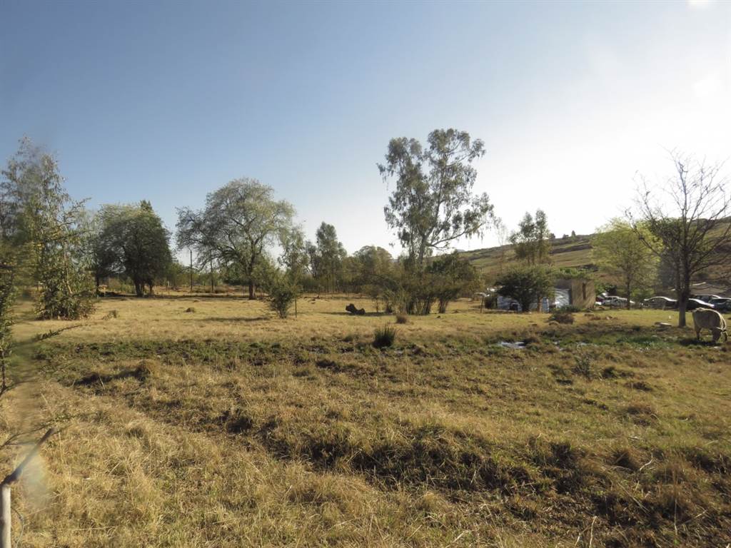 991 m² Land available in Fouriesburg photo number 4