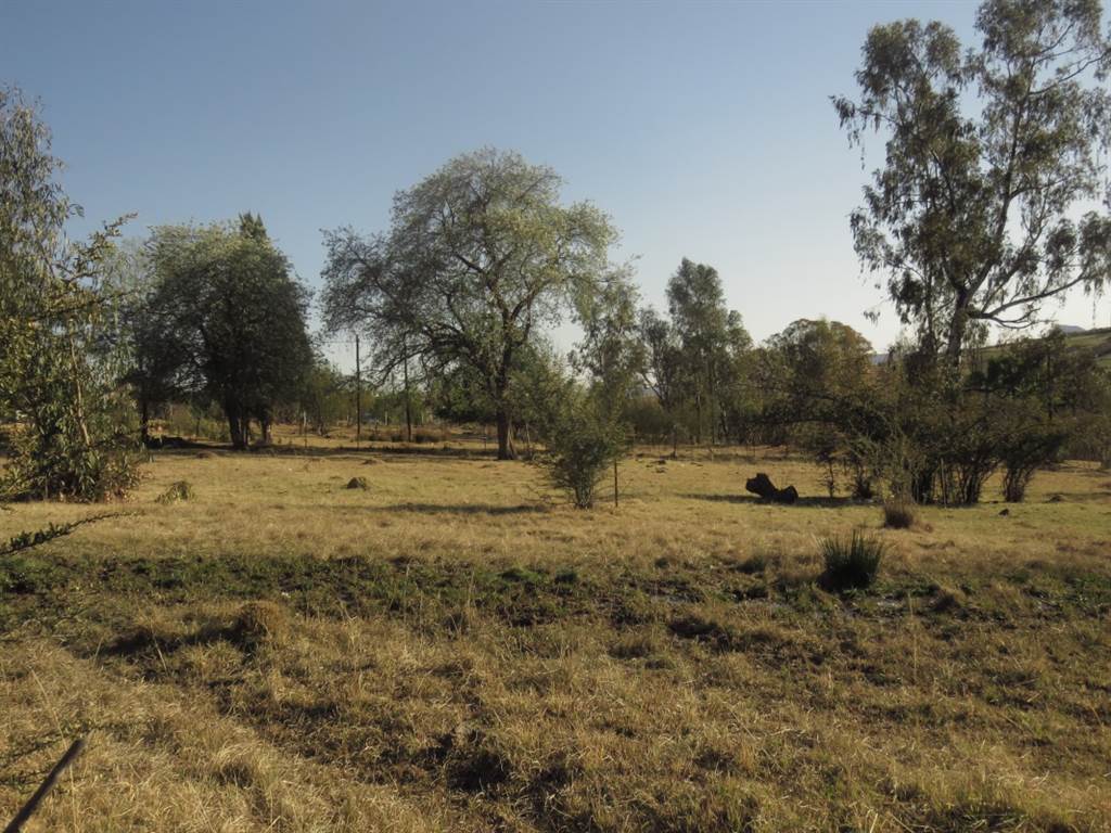 991 m² Land available in Fouriesburg photo number 7