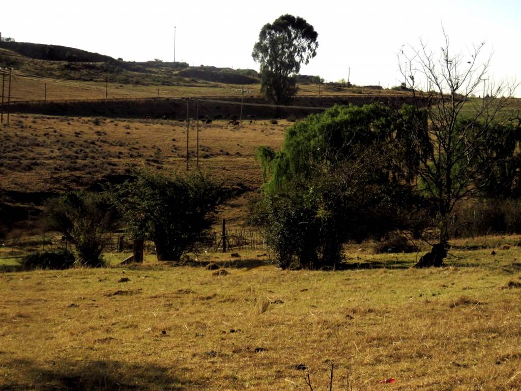 991 m² Land available in Fouriesburg photo number 1