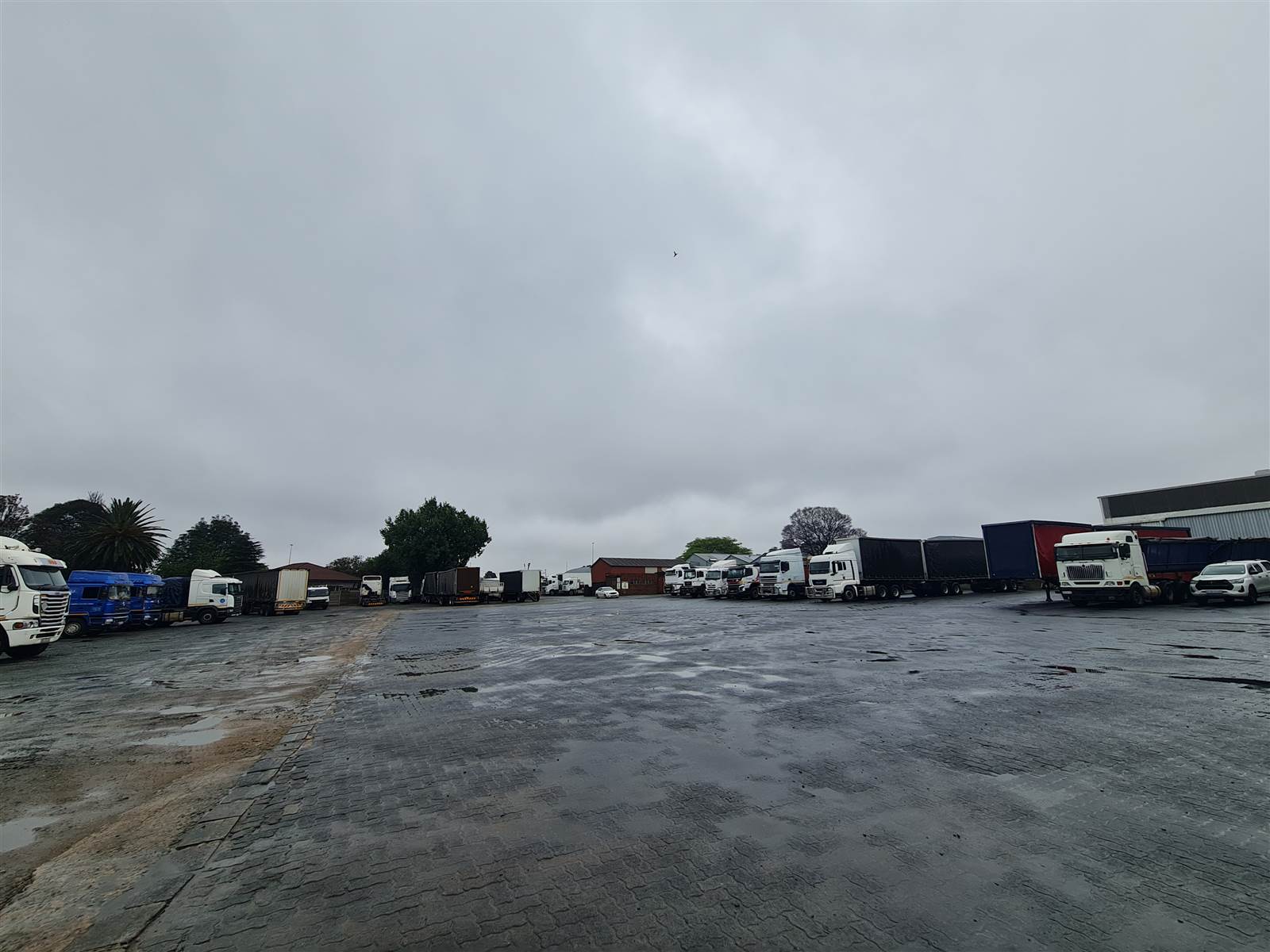 600  m² Industrial space in Elandsfontein AH photo number 6