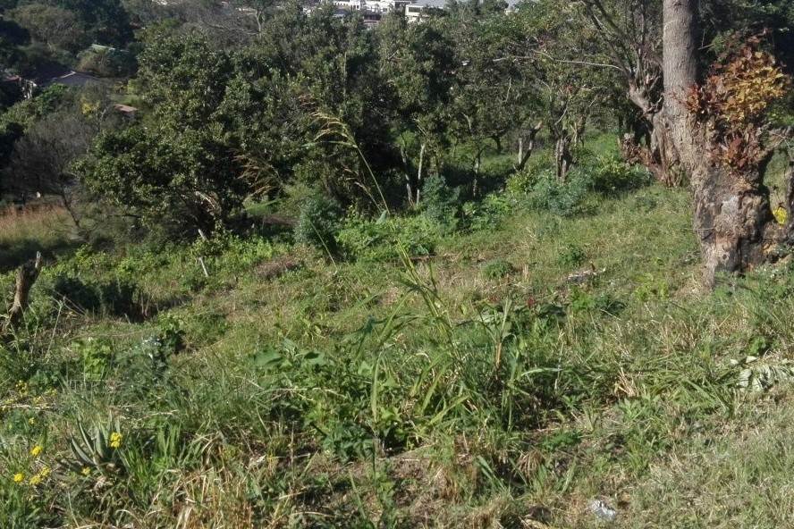 797 m² Land available in Port Shepstone photo number 3