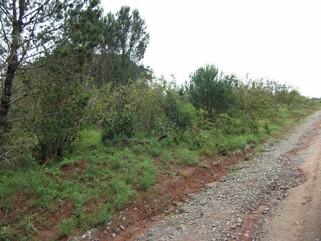 2246 m² Land available in Bathurst and Surrounds photo number 3