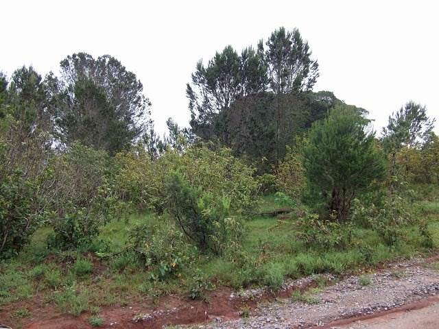 2246 m² Land available in Bathurst and Surrounds photo number 2