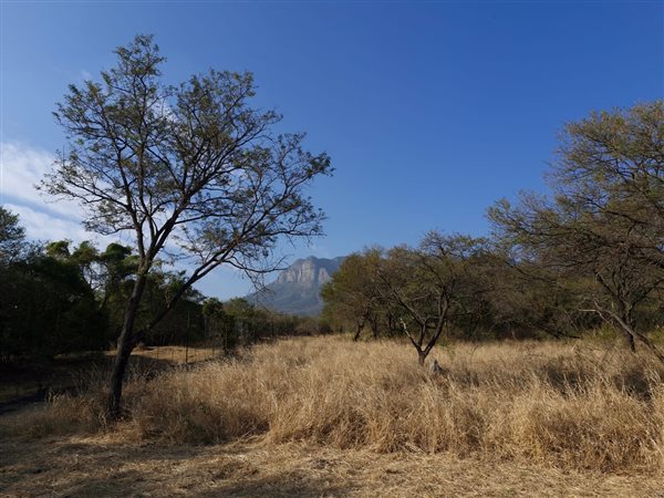 3 516 m² Land