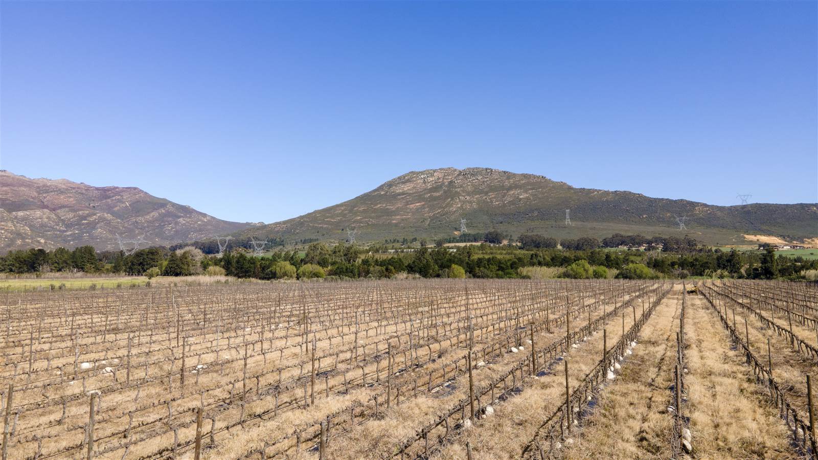 20.9 ha Farm in Tulbagh photo number 6