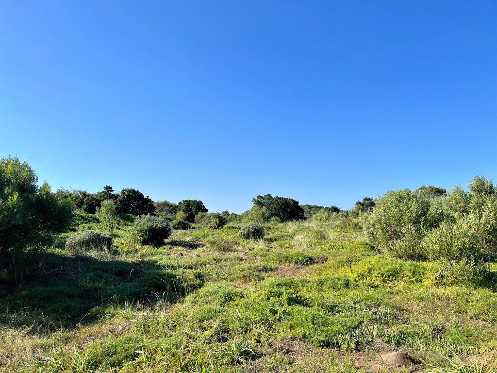 6.7 ha Land available in George Rural photo number 19