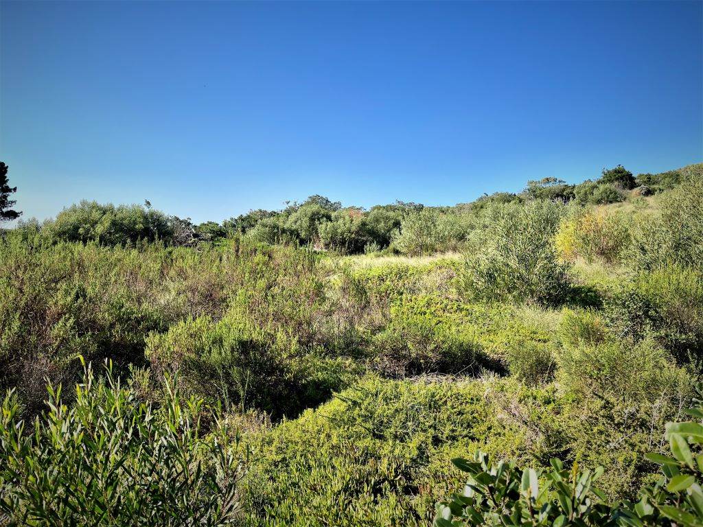 6.7 ha Land available in George Rural photo number 12