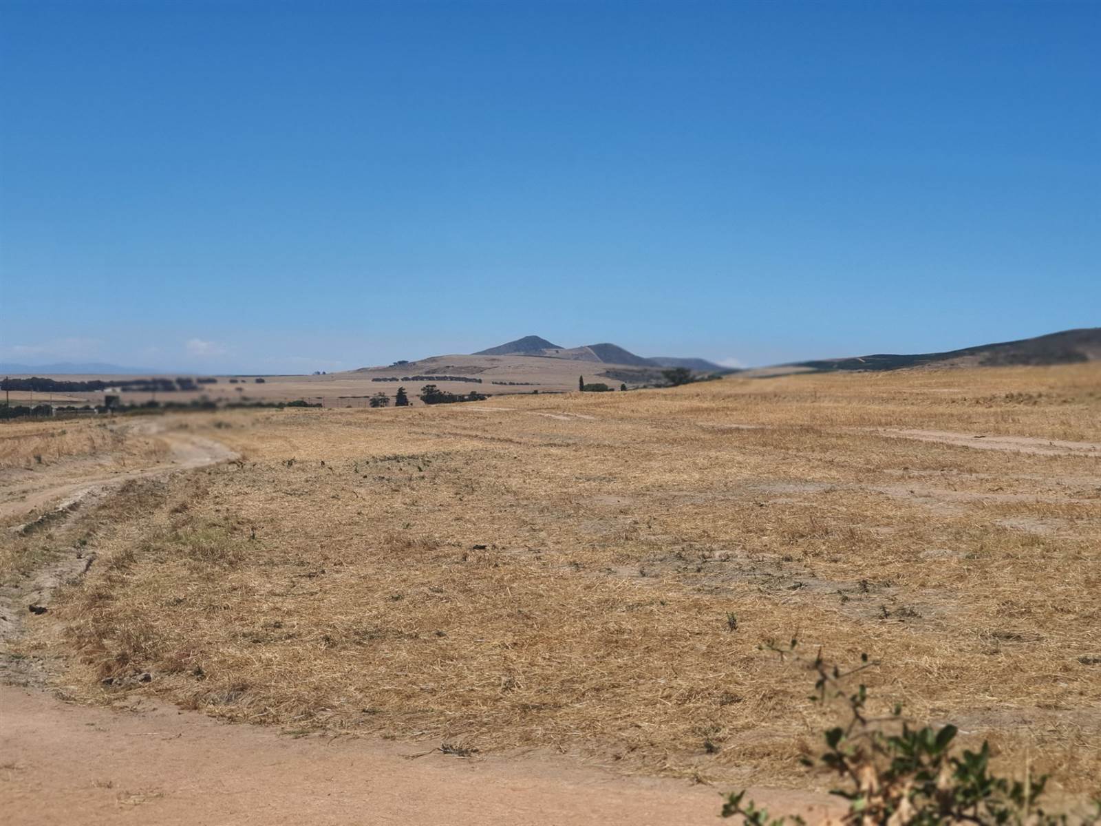 394 m² Land available in Darling photo number 7