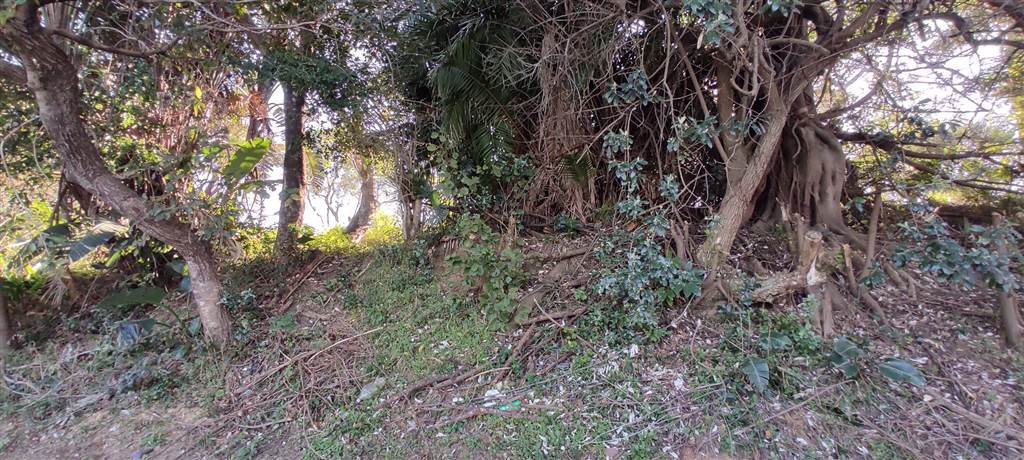 1183 m² Land available in Shelly Beach photo number 5