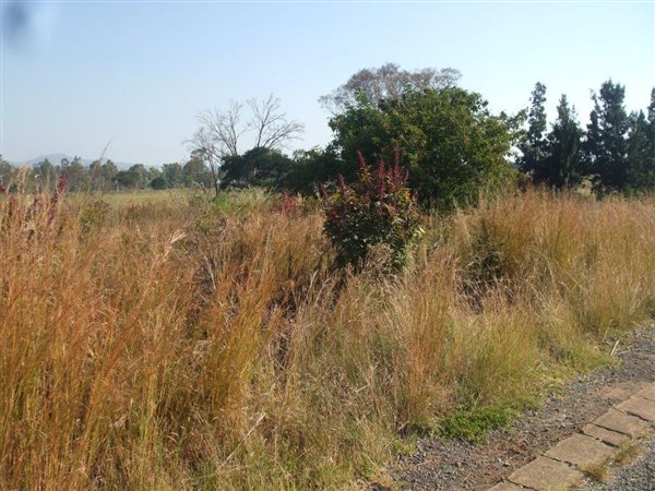 2855 m² Land available in Lydenburg