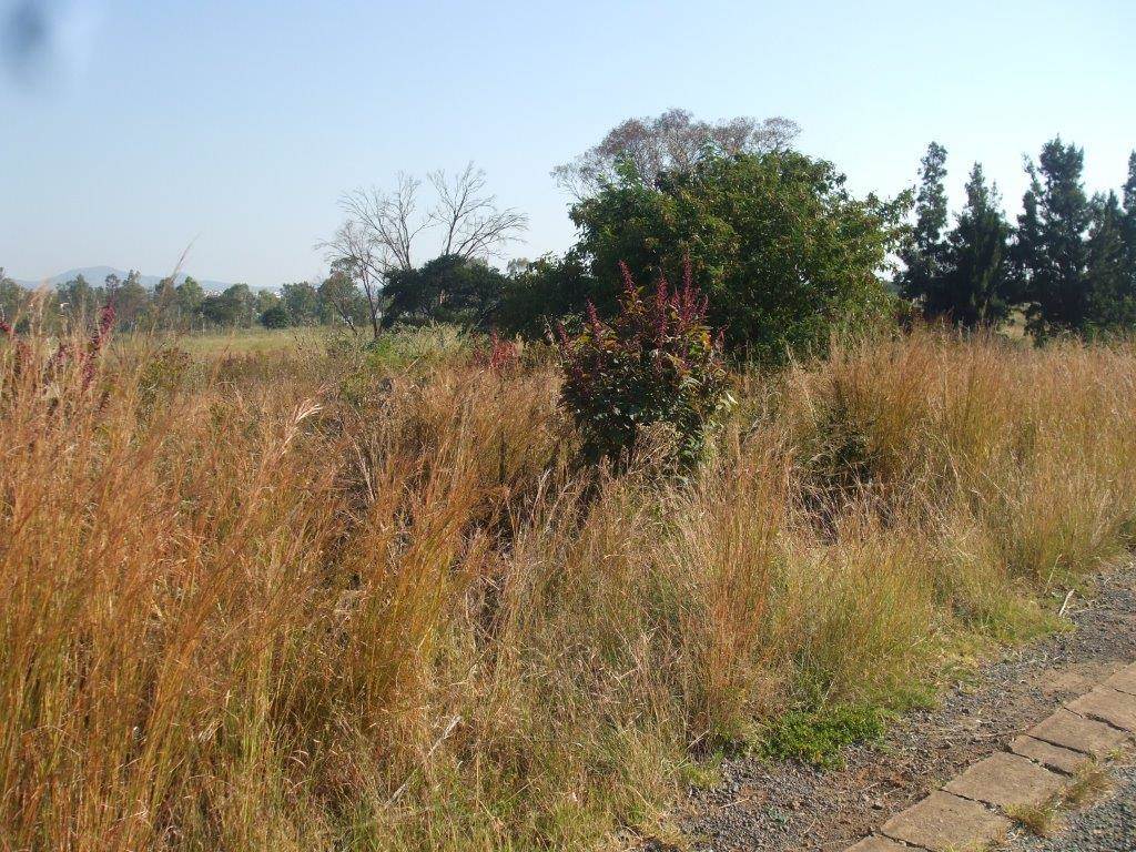 2855 m² Land available in Lydenburg photo number 1