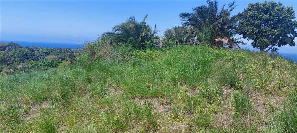 908 m² Land available in Shelly Beach photo number 12