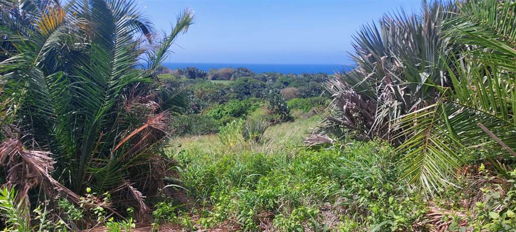 908 m² Land available in Shelly Beach photo number 10