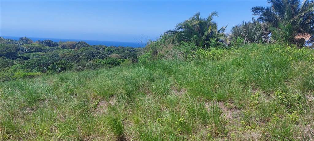 908 m² Land available in Shelly Beach photo number 14