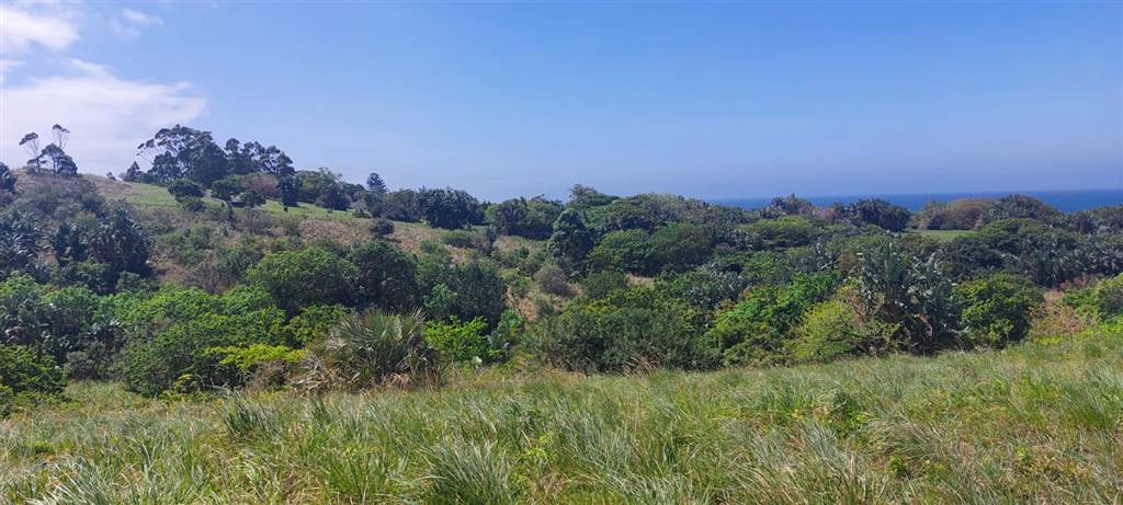 908 m² Land available in Shelly Beach photo number 17