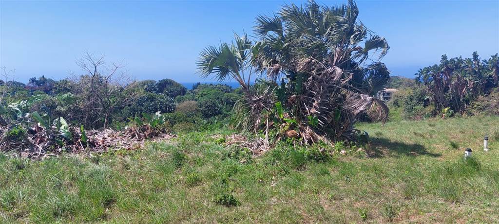 908 m² Land available in Shelly Beach photo number 26
