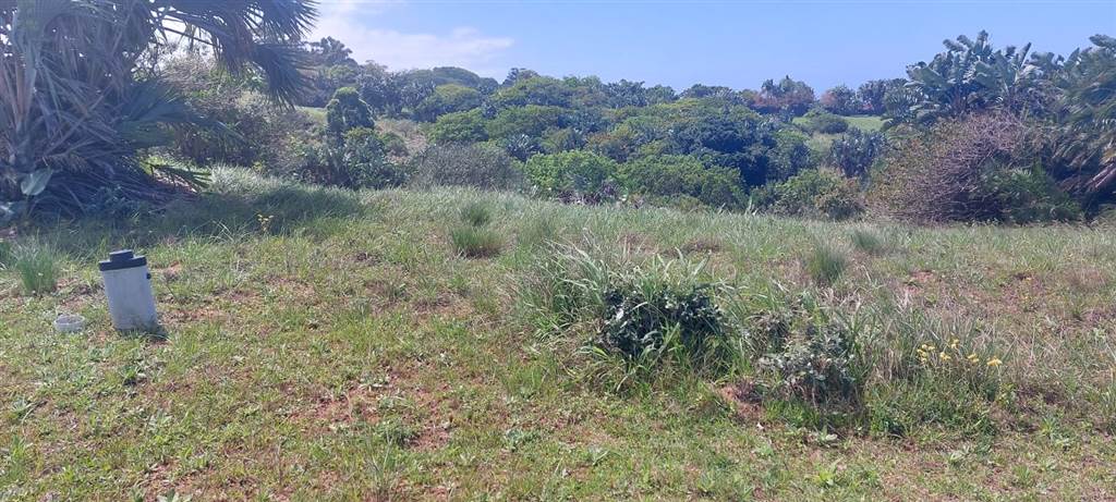 908 m² Land available in Shelly Beach photo number 27