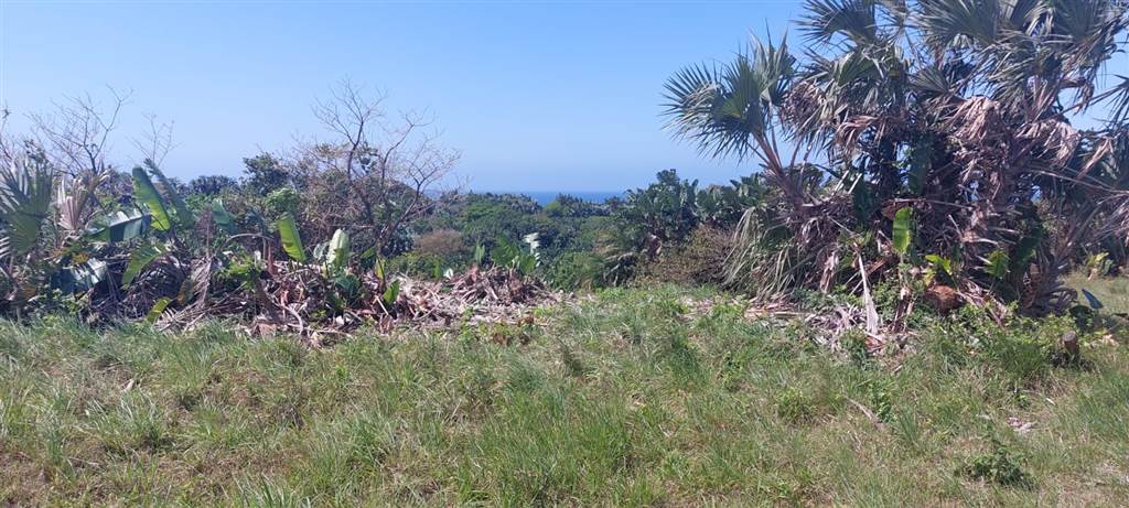 908 m² Land available in Shelly Beach photo number 18