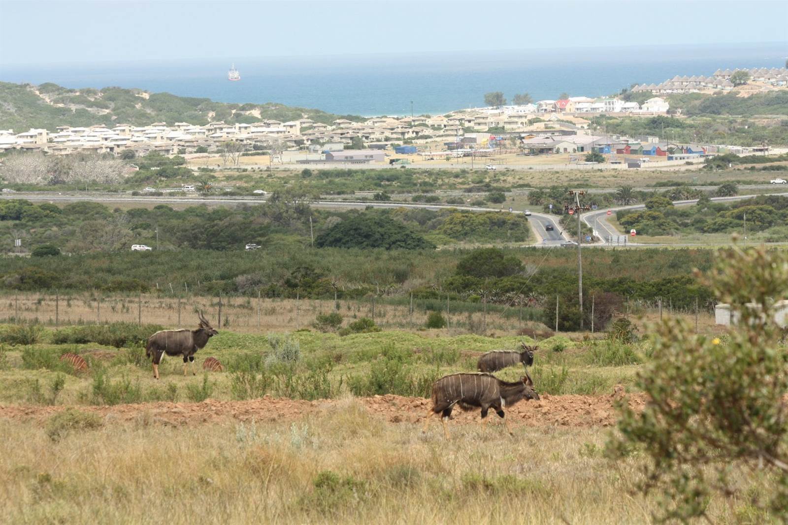 1508 m² Land available in Hartenbos photo number 10