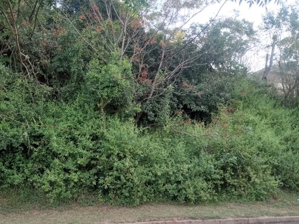 1407 m² Land available in Illovo Glen
