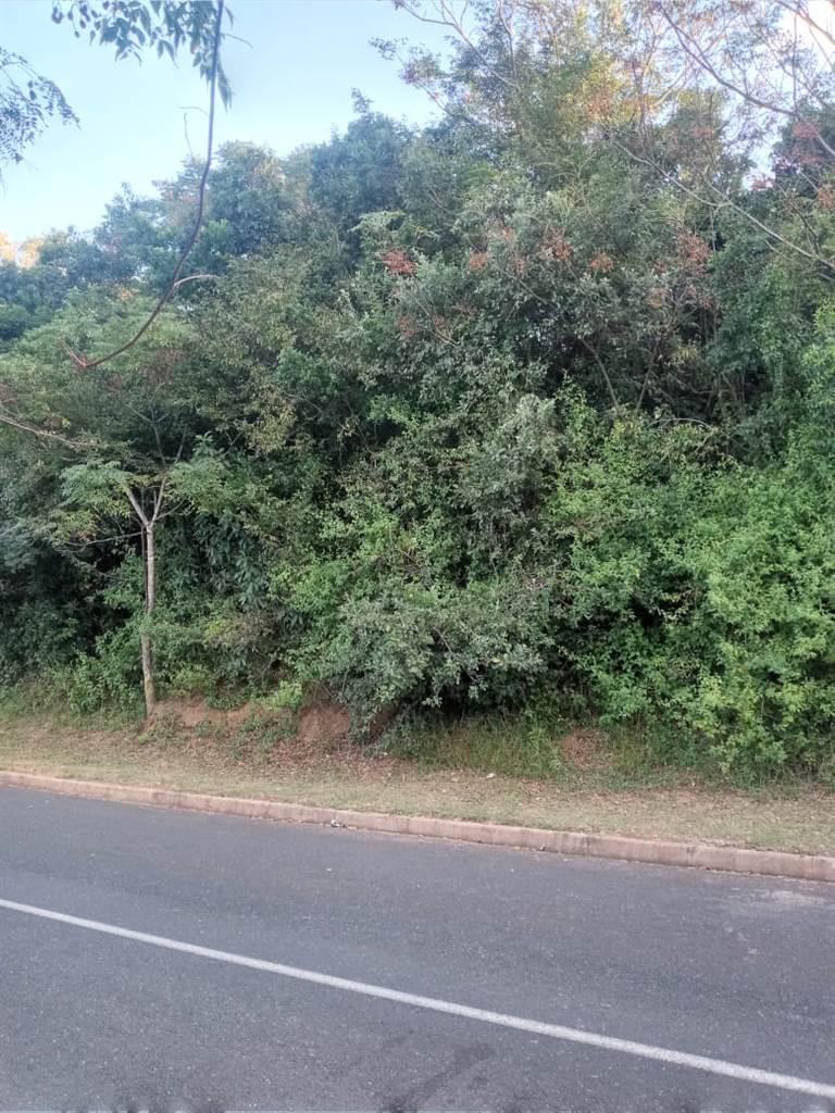 1407 m² Land available in Illovo Glen photo number 3