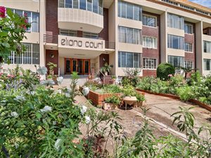2 Bed Apartment in Norwood