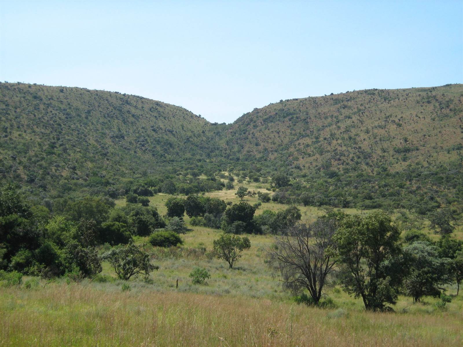 1.7 ha Land available in Modimole (Nylstroom) photo number 3