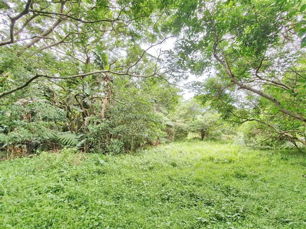 1 745 m² Land 1 745 m² Land