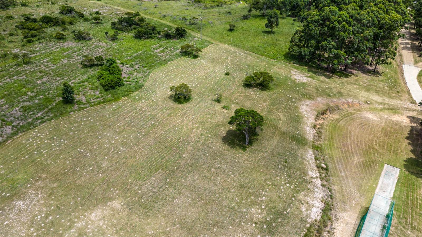 1497 m² Land available in East London Rural photo number 5