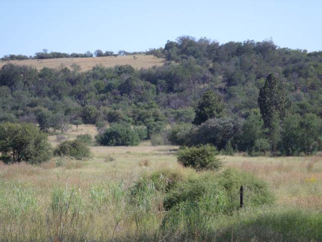 59 ha Land available in Meyersdal photo number 12