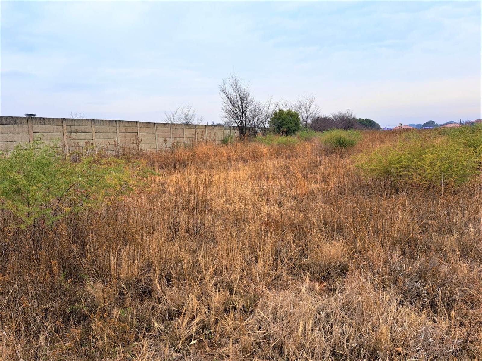 1820 m² Land available in Kookrus photo number 2