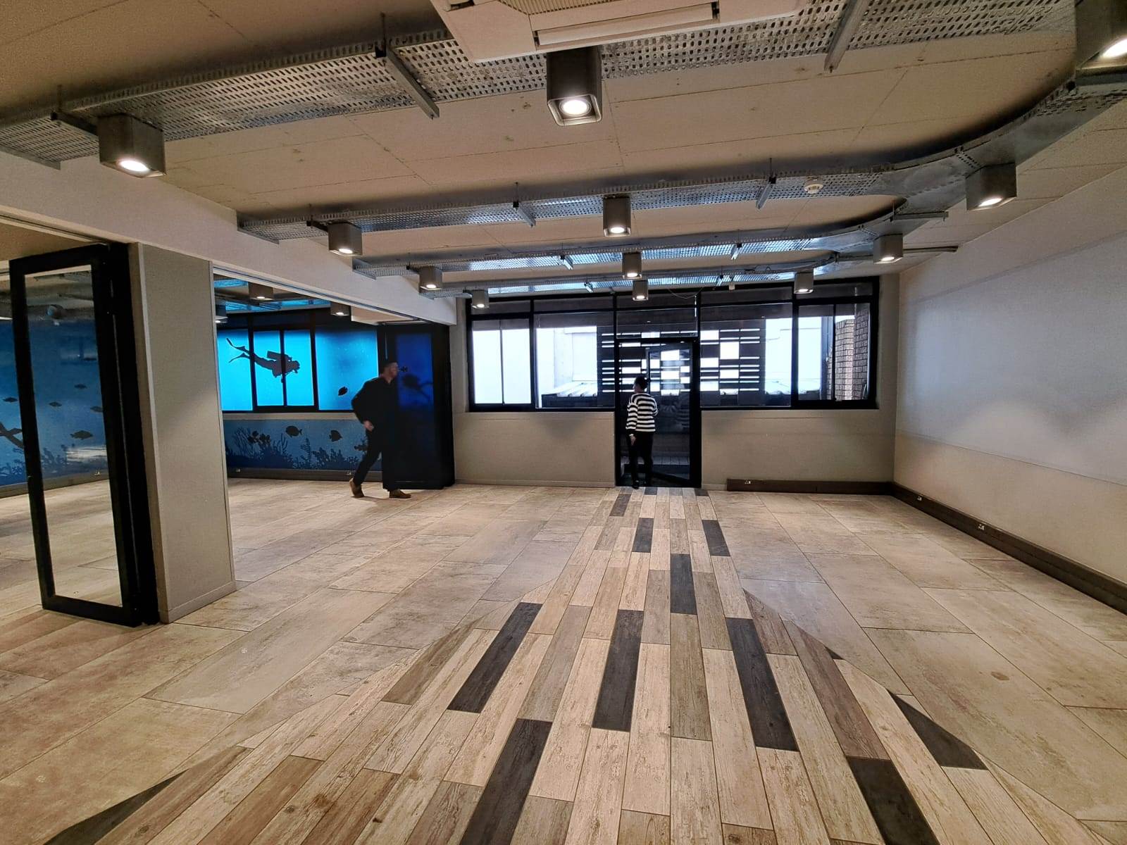 570  m² Commercial space in Hatfield photo number 7