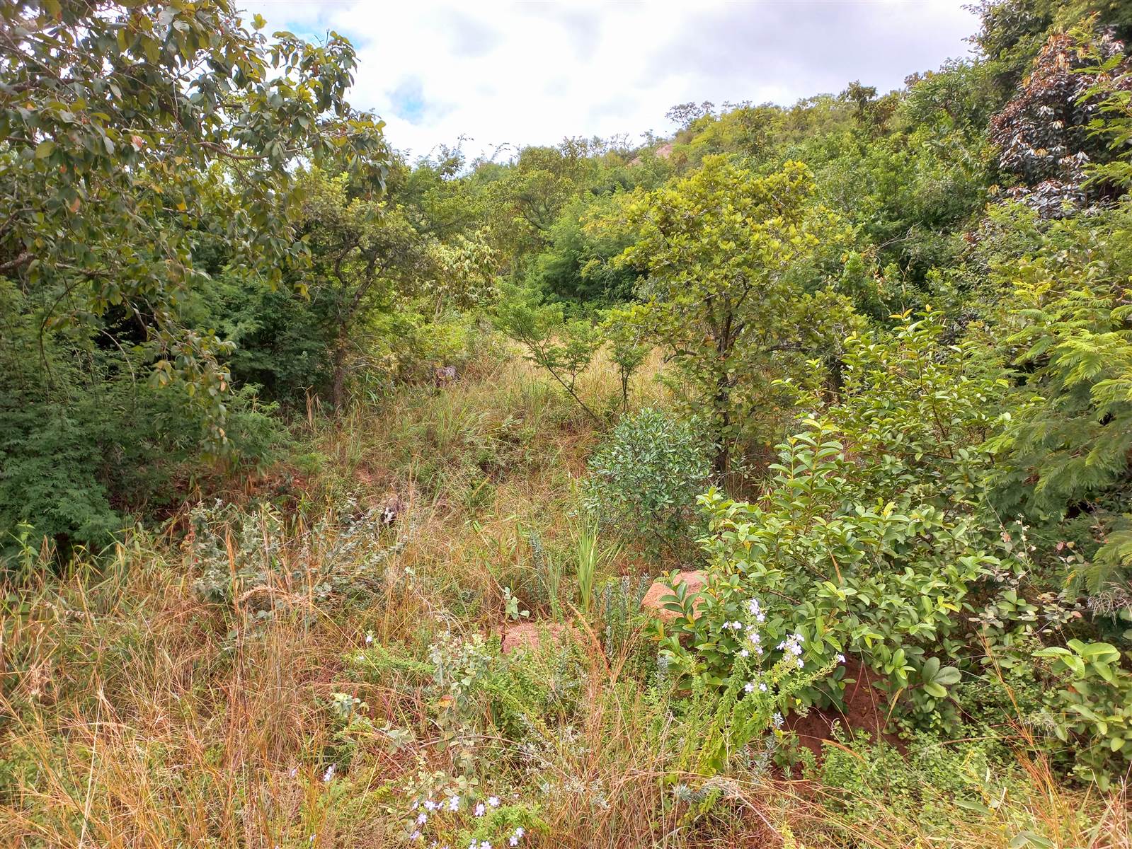 1 ha Land available in Nelspruit photo number 5