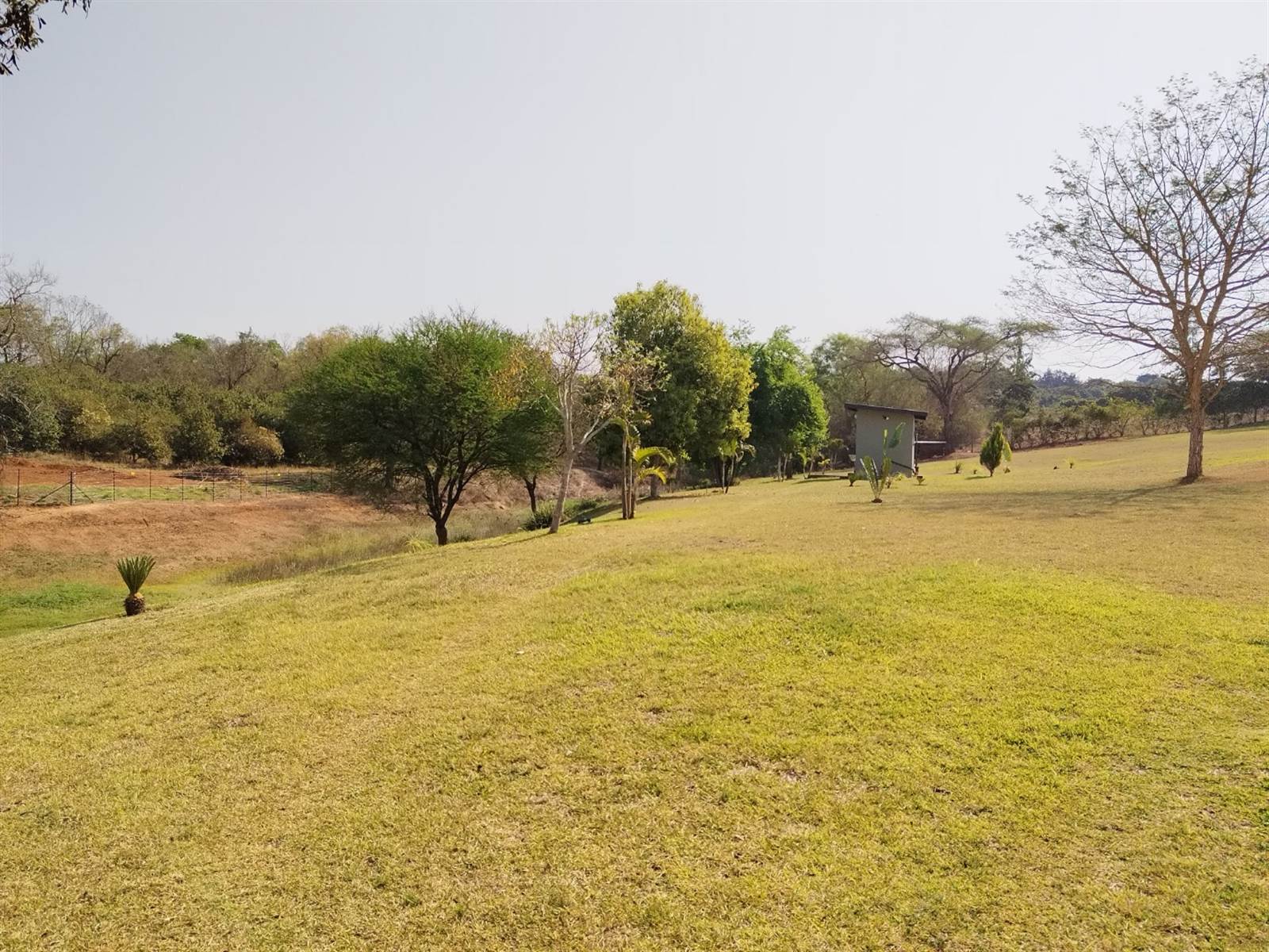 3 m² Farm in Tzaneen photo number 1