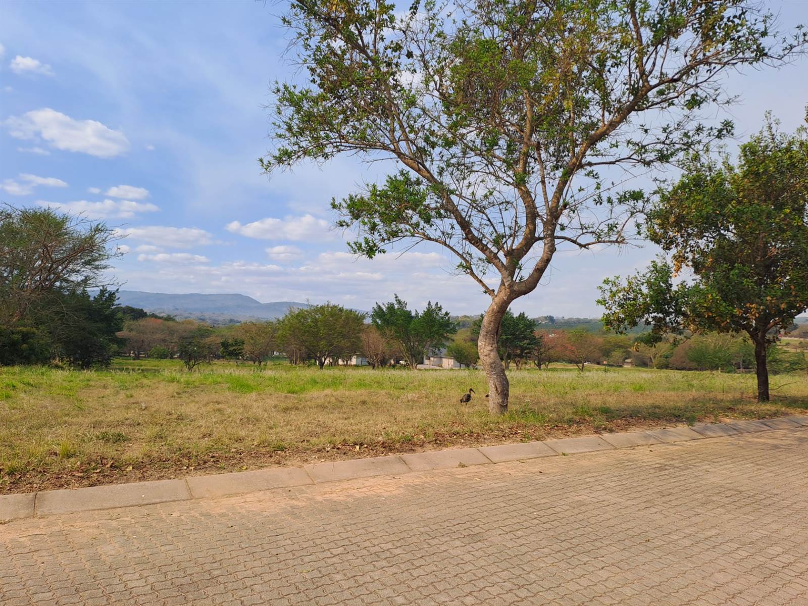 1343 m² Land available in Hazyview photo number 1