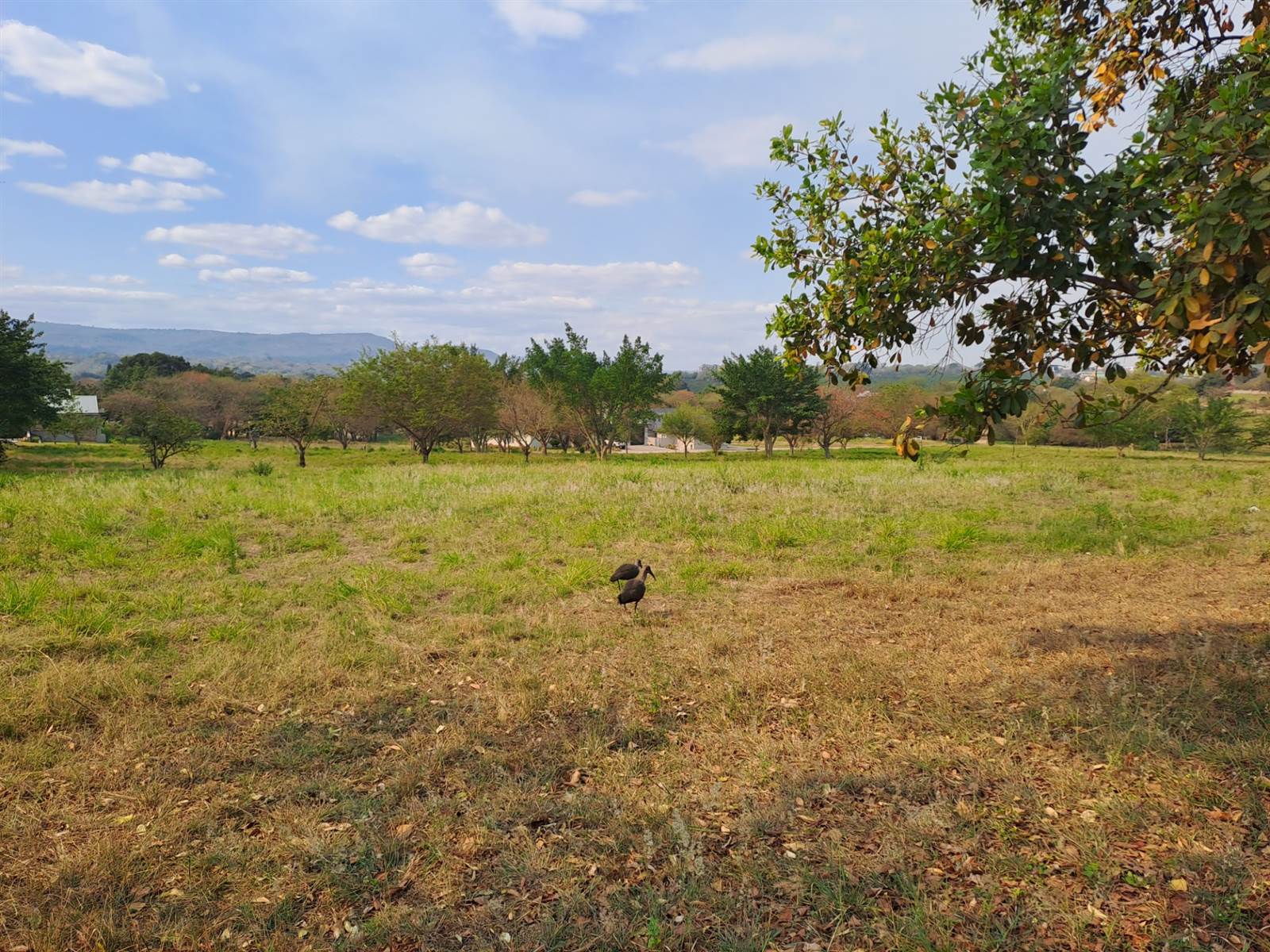 1343 m² Land available in Hazyview photo number 5