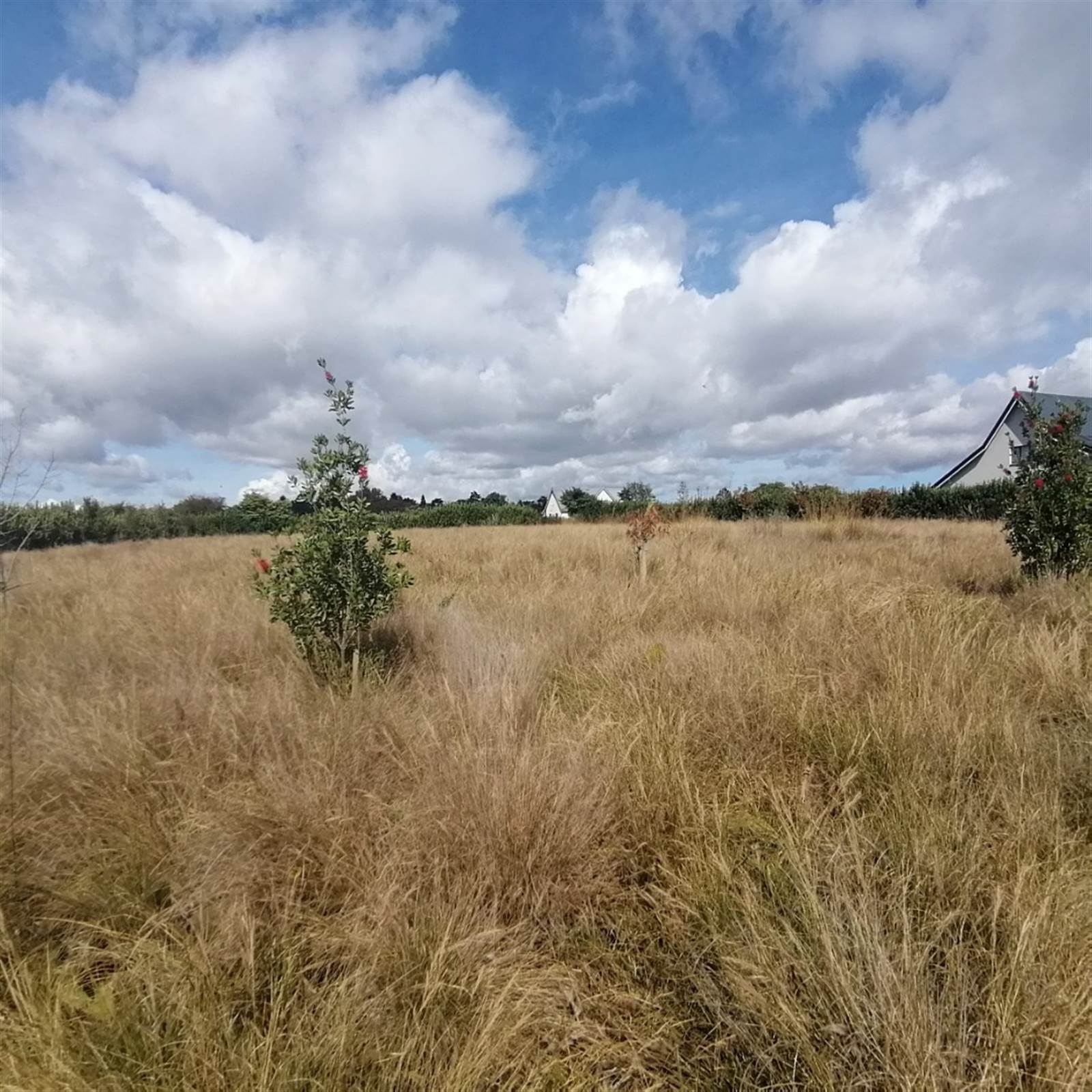 4311 m² Land available in Howick photo number 7