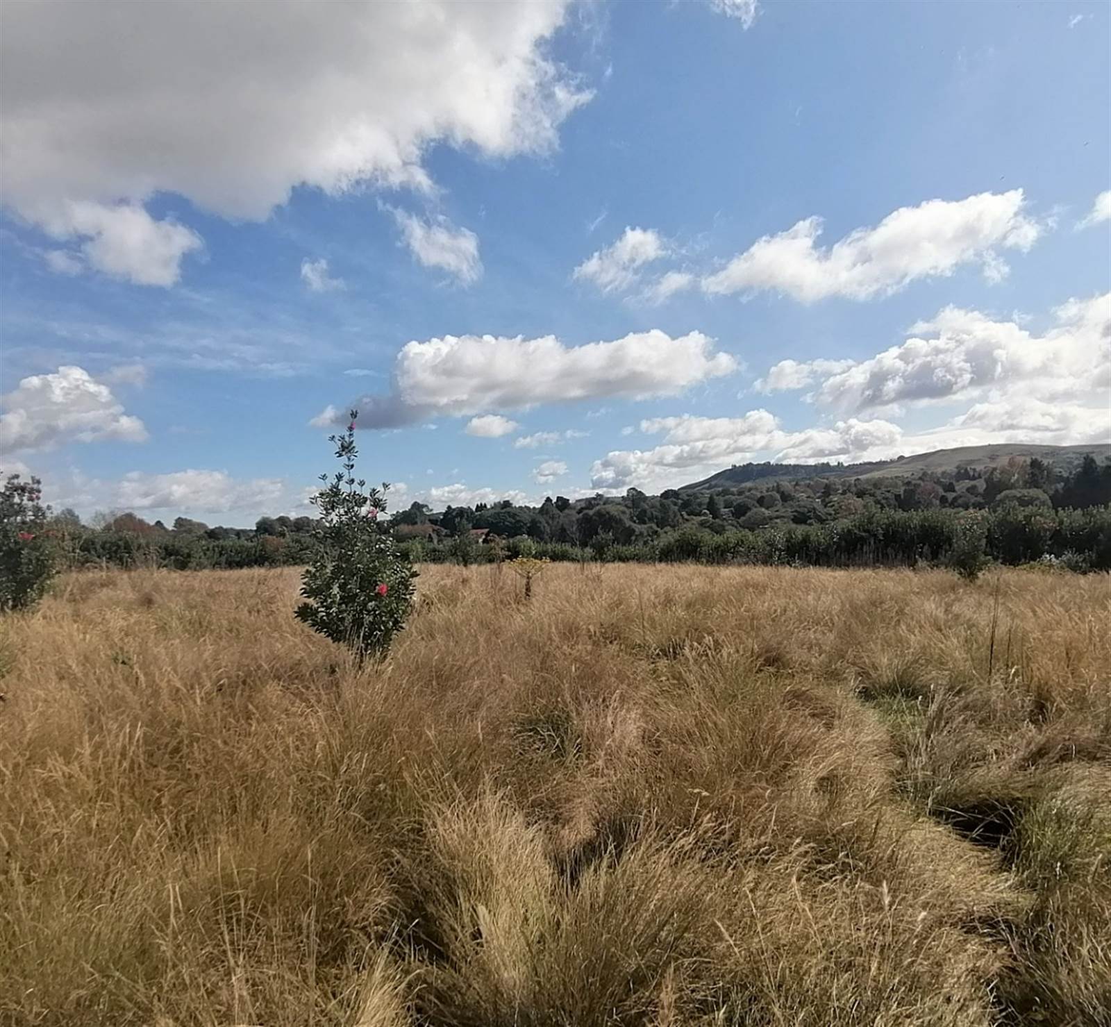 4311 m² Land available in Howick photo number 6