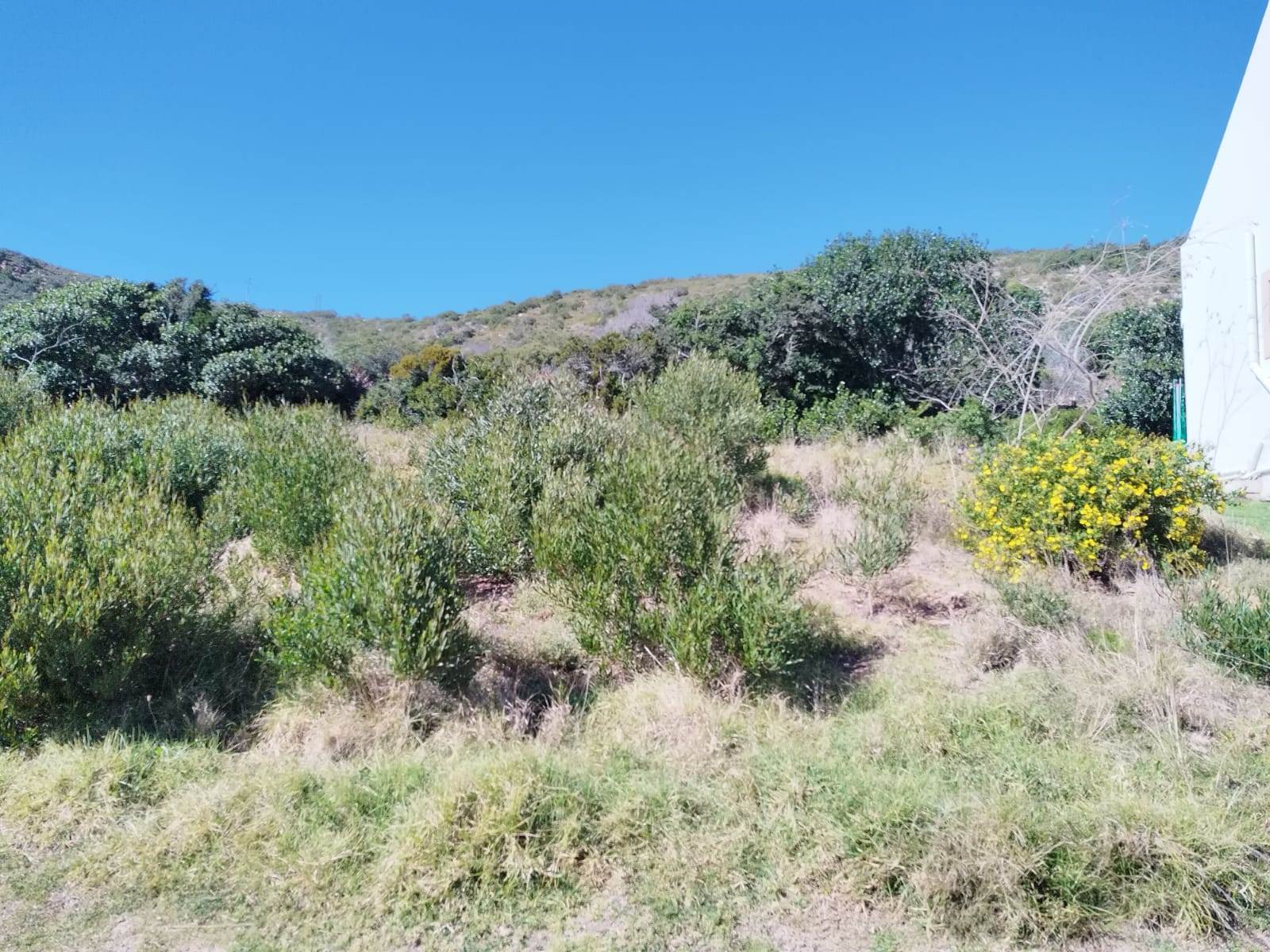224 m² Land available in Mossel Bay Central photo number 1
